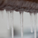 Icicles dangling from roof